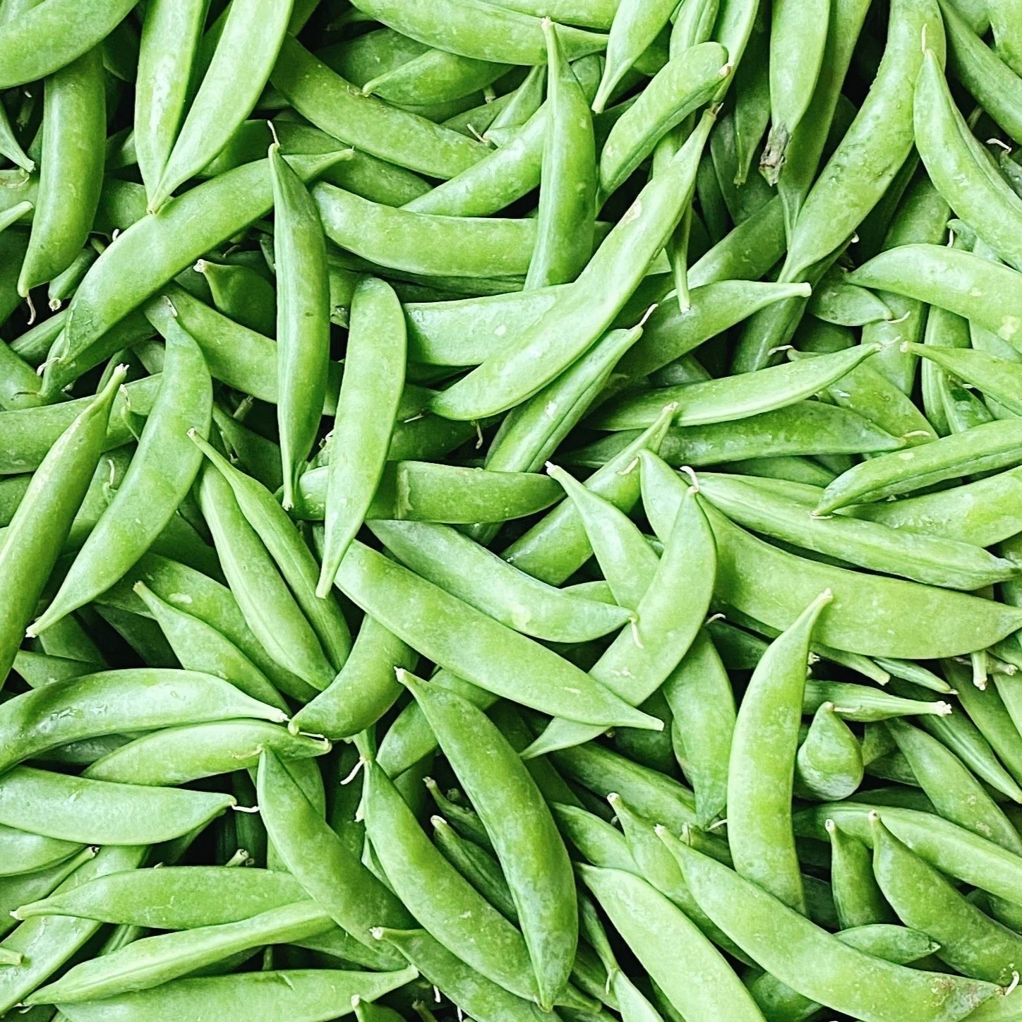 Produce + Dairy
